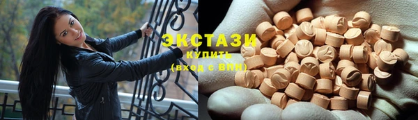 индика Богданович