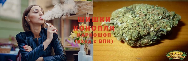 молекула духа Бронницы