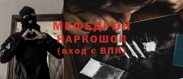индика Богданович