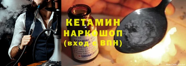 индика Богданович