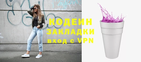 индика Богданович