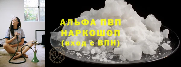 индика Богданович