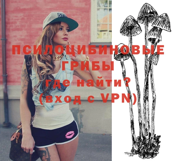 молекула духа Бугульма