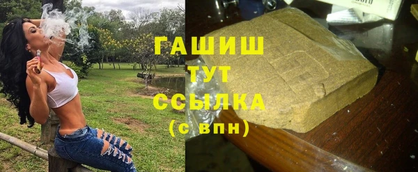 индика Богданович