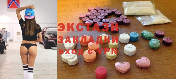 индика Богданович