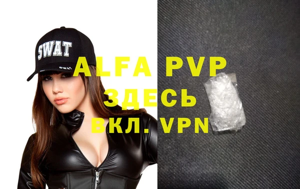 индика Богданович