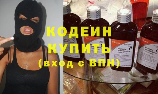 индика Богданович